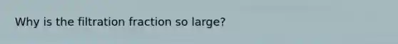 Why is the filtration fraction so large?