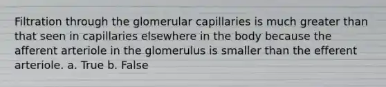 Filtration through the glomerular capillaries is much greater than that seen in capillaries elsewhere in the body because the afferent arteriole in the glomerulus is smaller than the efferent arteriole. a. True b. False