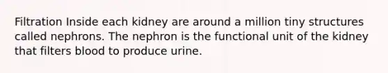 Filtration Inside each kidney are around a million tiny structures called nephrons. The nephron is the functional unit of the kidney that filters blood to produce urine.