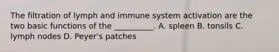 The filtration of lymph and immune system activation are the two basic functions of the __________. A. spleen B. tonsils C. lymph nodes D. Peyer's patches