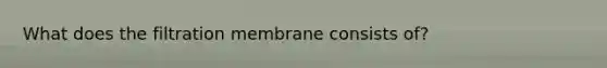 What does the filtration membrane consists of?