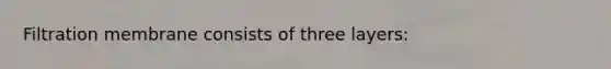 Filtration membrane consists of three layers: