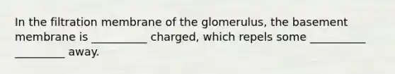 In the filtration membrane of the glomerulus, the basement membrane is __________ charged, which repels some __________ _________ away.