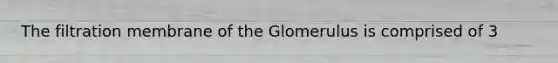 The filtration membrane of the Glomerulus is comprised of 3