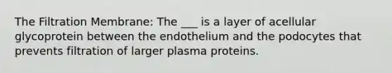 The Filtration Membrane: The ___ is a layer of acellular glycoprotein between the endothelium and the podocytes that prevents filtration of larger plasma proteins.