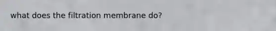 what does the filtration membrane do?