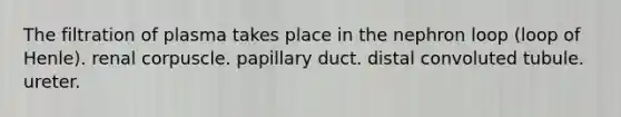 The filtration of plasma takes place in the nephron loop (loop of Henle). renal corpuscle. papillary duct. distal convoluted tubule. ureter.
