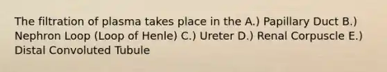 The filtration of plasma takes place in the A.) Papillary Duct B.) Nephron Loop (Loop of Henle) C.) Ureter D.) Renal Corpuscle E.) Distal Convoluted Tubule