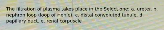 The filtration of plasma takes place in the Select one: a. ureter. b. nephron loop (loop of Henle). c. distal convoluted tubule. d. papillary duct. e. renal corpuscle