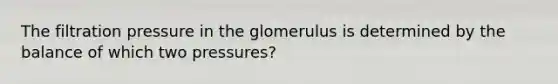 The filtration pressure in the glomerulus is determined by the balance of which two pressures?