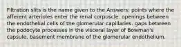 Filtration slits is the name given to the Answers: points where the afferent arterioles enter the renal corpuscle. openings between the endothelial cells of the glomerular capillaries. gaps between the podocyte processes in the visceral layer of Bowman's capsule. basement membrane of the glomerular endothelium.