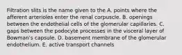 Filtration slits is the name given to the A. points where the afferent arterioles enter the renal corpuscle. B. openings between the endothelial cells of the glomerular capillaries. C. gaps between the podocyte processes in the visceral layer of Bowman's capsule. D. basement membrane of the glomerular endothelium. E. active transport channels