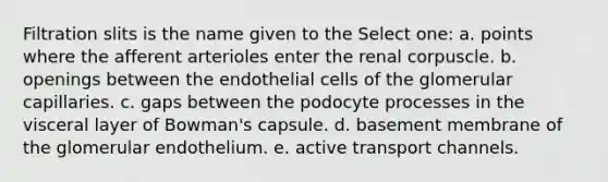 Filtration slits is the name given to the Select one: a. points where the afferent arterioles enter the renal corpuscle. b. openings between the endothelial cells of the glomerular capillaries. c. gaps between the podocyte processes in the visceral layer of Bowman's capsule. d. basement membrane of the glomerular endothelium. e. active transport channels.