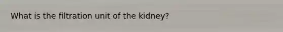 What is the filtration unit of the kidney?