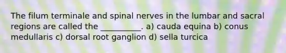 The filum terminale and spinal nerves in the lumbar and sacral regions are called the __________. a) cauda equina b) conus medullaris c) dorsal root ganglion d) sella turcica