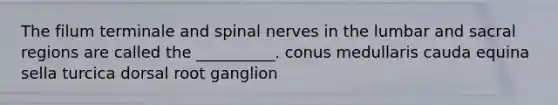 The filum terminale and <a href='https://www.questionai.com/knowledge/kyBL1dWgAx-spinal-nerves' class='anchor-knowledge'>spinal nerves</a> in the lumbar and sacral regions are called the __________. conus medullaris cauda equina sella turcica dorsal root ganglion