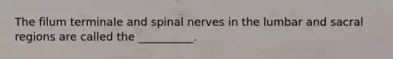 The filum terminale and spinal nerves in the lumbar and sacral regions are called the __________.