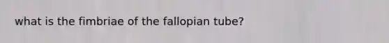 what is the fimbriae of the fallopian tube?