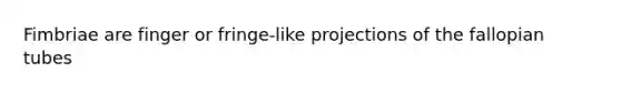 Fimbriae are finger or fringe-like projections of the fallopian tubes