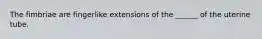 The fimbriae are fingerlike extensions of the ______ of the uterine tube.