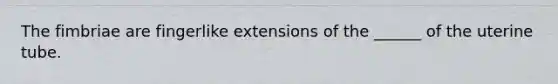 The fimbriae are fingerlike extensions of the ______ of the uterine tube.