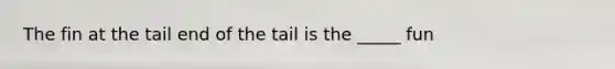 The fin at the tail end of the tail is the _____ fun