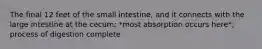 The final 12 feet of the small intestine, and it connects with the large intestine at the cecum; *most absorption occurs here*; process of digestion complete