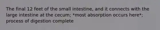 The final 12 feet of the small intestine, and it connects with the large intestine at the cecum; *most absorption occurs here*; process of digestion complete