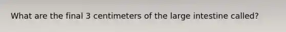 What are the final 3 centimeters of the <a href='https://www.questionai.com/knowledge/kGQjby07OK-large-intestine' class='anchor-knowledge'>large intestine</a> called?