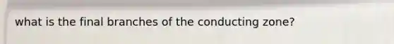 what is the final branches of the conducting zone?