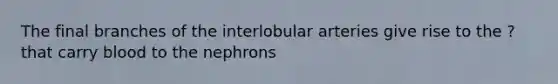 The final branches of the interlobular arteries give rise to the ? that carry blood to the nephrons