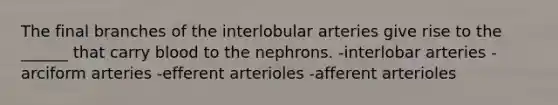 The final branches of the interlobular arteries give rise to the ______ that carry blood to the nephrons. -interlobar arteries -arciform arteries -efferent arterioles -afferent arterioles