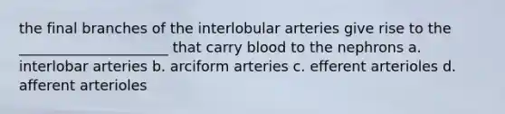 the final branches of the interlobular arteries give rise to the _____________________ that carry blood to the nephrons a. interlobar arteries b. arciform arteries c. efferent arterioles d. afferent arterioles