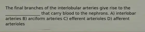 The final branches of the interlobular arteries give rise to the _________________ that carry blood to the nephrons. A) interlobar arteries B) arciform arteries C) efferent arterioles D) afferent arterioles