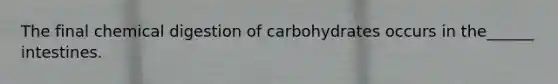 The final chemical digestion of carbohydrates occurs in the______ intestines.