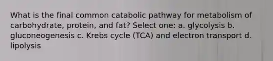 What is the final common catabolic pathway for metabolism of carbohydrate, protein, and fat? Select one: a. glycolysis b. gluconeogenesis c. Krebs cycle (TCA) and electron transport d. lipolysis