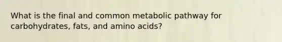 What is the final and common metabolic pathway for carbohydrates, fats, and amino acids?