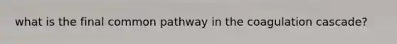 what is the final common pathway in the coagulation cascade?