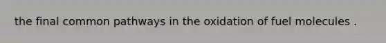 the final common pathways in the oxidation of fuel molecules .