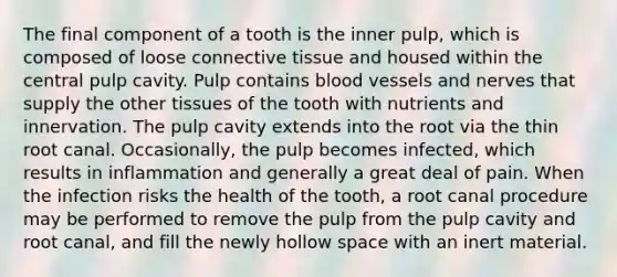 The final component of a tooth is the inner pulp, which is composed of loose connective tissue and housed within the central pulp cavity. Pulp contains blood vessels and nerves that supply the other tissues of the tooth with nutrients and innervation. The pulp cavity extends into the root via the thin root canal. Occasionally, the pulp becomes infected, which results in inflammation and generally a great deal of pain. When the infection risks the health of the tooth, a root canal procedure may be performed to remove the pulp from the pulp cavity and root canal, and fill the newly hollow space with an inert material.