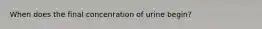 When does the final concenration of urine begin?