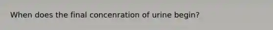 When does the final concenration of urine begin?