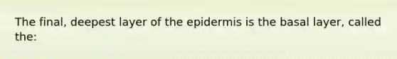 The final, deepest layer of <a href='https://www.questionai.com/knowledge/kBFgQMpq6s-the-epidermis' class='anchor-knowledge'>the epidermis</a> is the basal layer, called the: