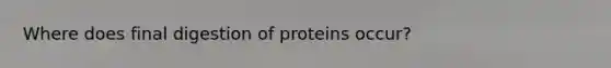 Where does final digestion of proteins occur?