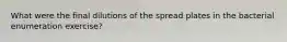 What were the final dilutions of the spread plates in the bacterial enumeration exercise?