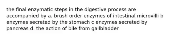 the final enzymatic steps in the digestive process are accompanied by a. brush order enzymes of intestinal microvilli b enzymes secreted by <a href='https://www.questionai.com/knowledge/kLccSGjkt8-the-stomach' class='anchor-knowledge'>the stomach</a> c enzymes secreted by pancreas d. the action of bile from gallbladder