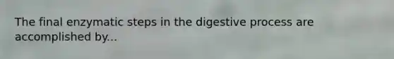 The final enzymatic steps in the digestive process are accomplished by...