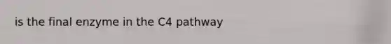 is the final enzyme in the C4 pathway