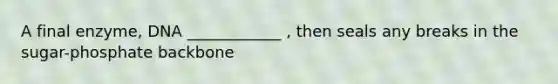 A final enzyme, DNA ____________ , then seals any breaks in the sugar-phosphate backbone