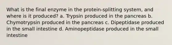 What is the final enzyme in the protein-splitting system, and where is it produced? a. Trypsin produced in the pancreas b. Chymotrypsin produced in the pancreas c. Dipeptidase produced in the small intestine d. Aminopeptidase produced in the small intestine